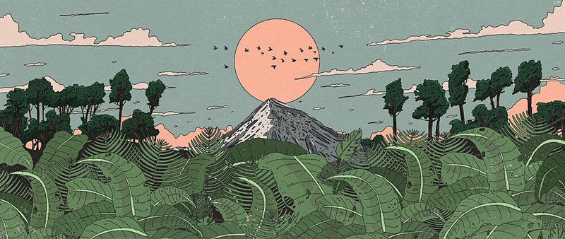 Tropical Mountain Sunrise art print by Nicholas for $57.95 CAD
