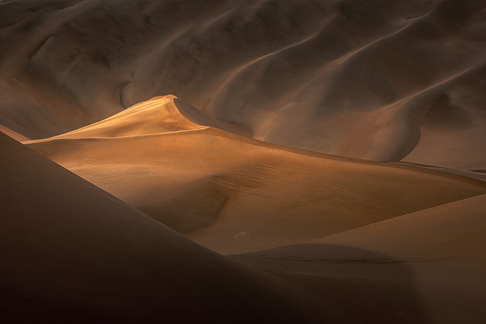 Golden Desert Dunes art print by Unknown for $57.95 CAD