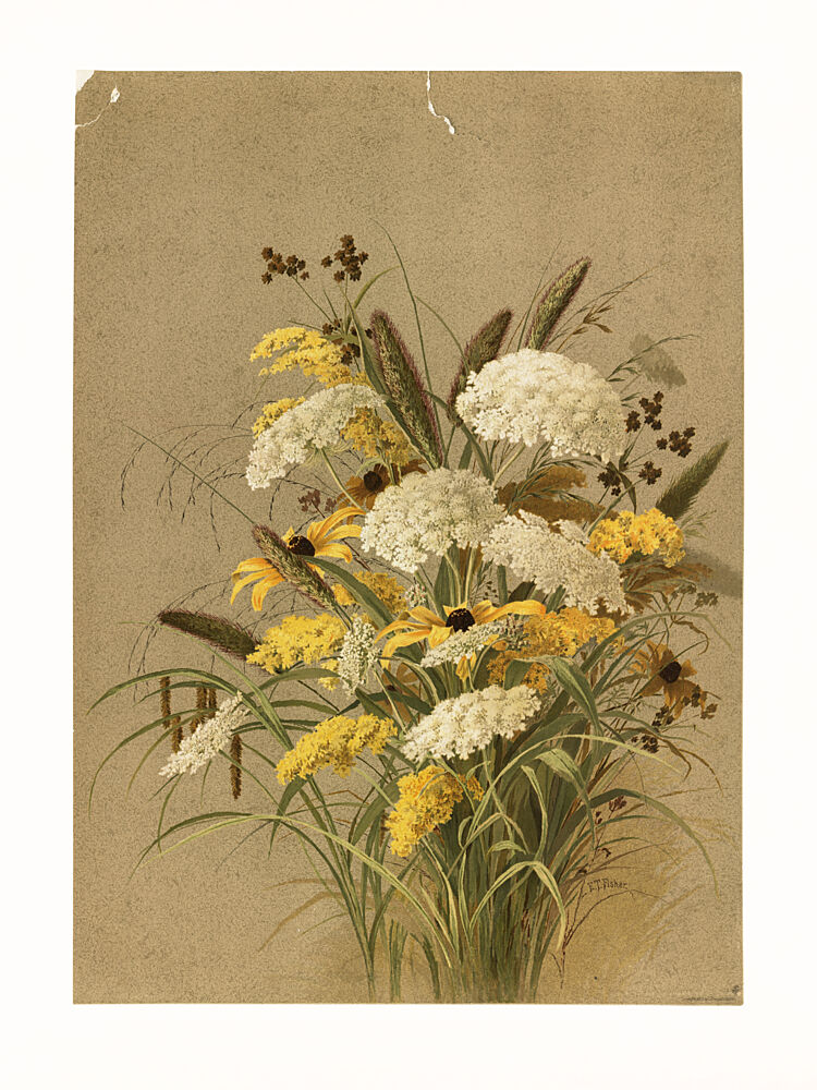 Hemlock, Ox Eye Grasses and Golden Rod art print by Ellen Thayer Fisher for $57.95 CAD