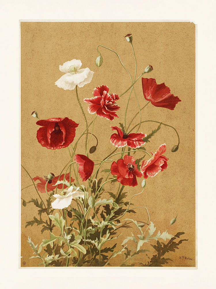 Poppies No. 3 by Ellen Thayer Fisher art print by Ellen Thayer Fisher for $57.95 CAD