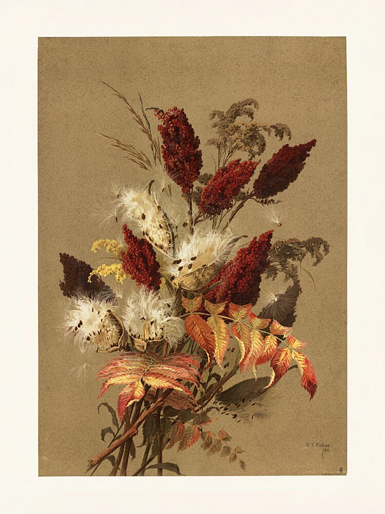 Sumac and Milkweed by Ellen Thayer Fisher art print by Pictufy for $57.95 CAD