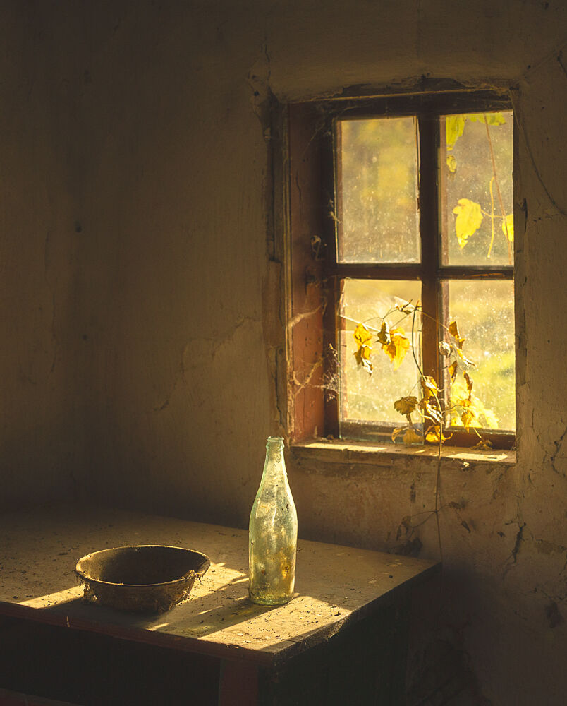 Golden Window Light art print by Paduraru Gabriel for $57.95 CAD