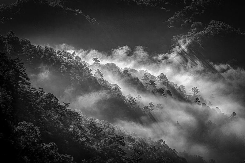 Misty Mountain Forest art print by Lin Lin for $57.95 CAD