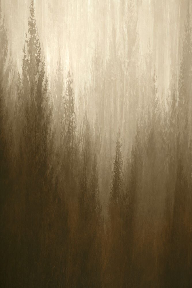 Forest Haze art print by Christina Sillen for $57.95 CAD