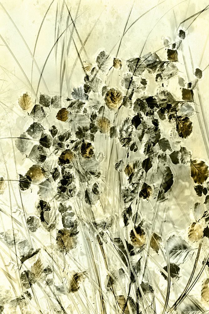 Ethereal Botanical Forms art print by Christina Sillen for $57.95 CAD
