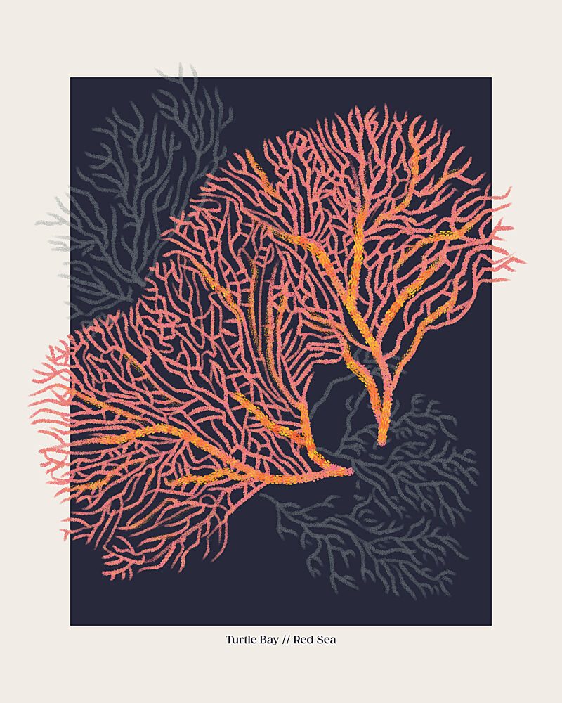 Red Sea Fan Corals art print by Alexandra Weise for $57.95 CAD