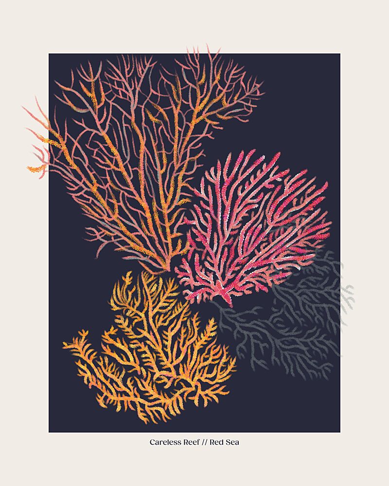 Colorful Red Sea Coral art print by Alexandra Weise for $57.95 CAD