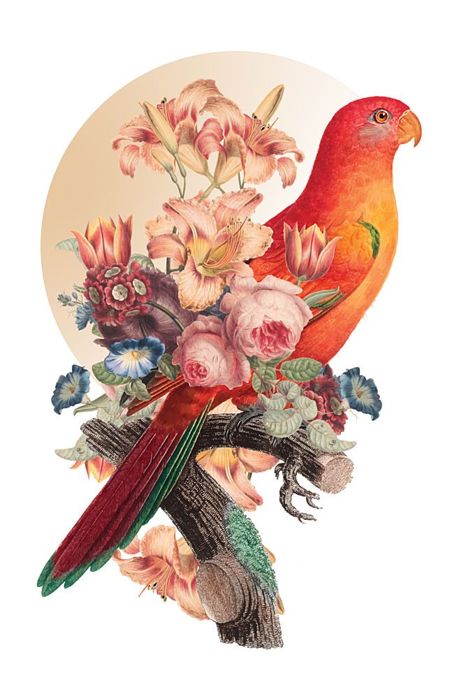 Vibrant Floral Parrot art print by Marja van den Hurk for $57.95 CAD