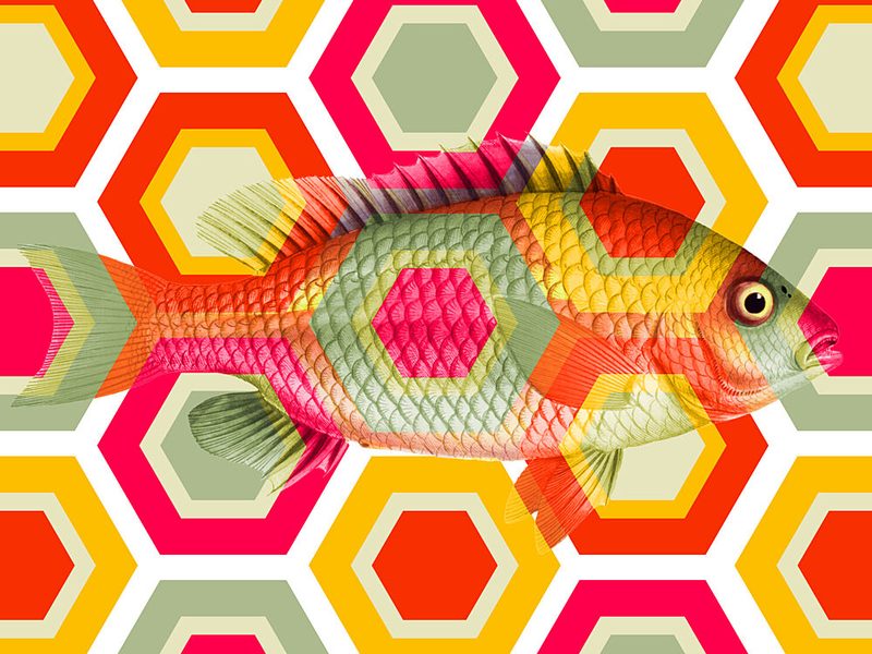 Vibrant Geometric Fish art print by Marja van den Hurk for $57.95 CAD