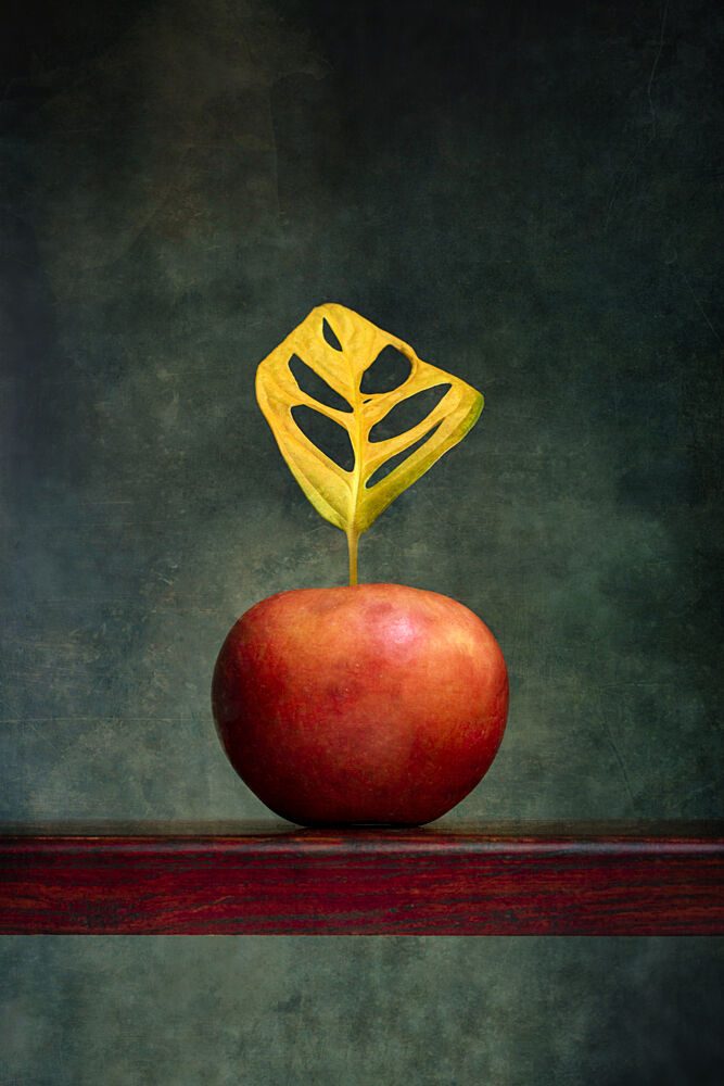 Warm Apple Leaf Still Life art print by Brig Barkow for $57.95 CAD