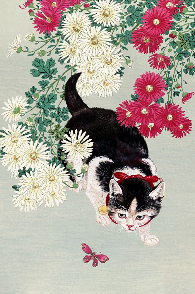 Curious Kitten Butterfly art print by Marja van den Hurk for $57.95 CAD