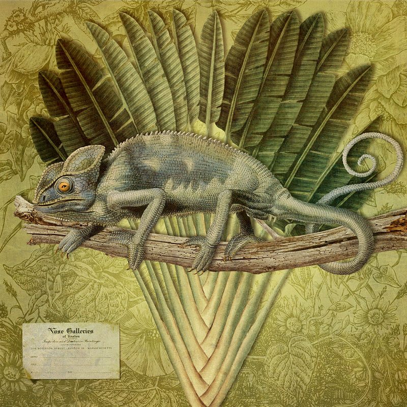 Tropical Chameleon Perched art print by Marja van den Hurk for $57.95 CAD