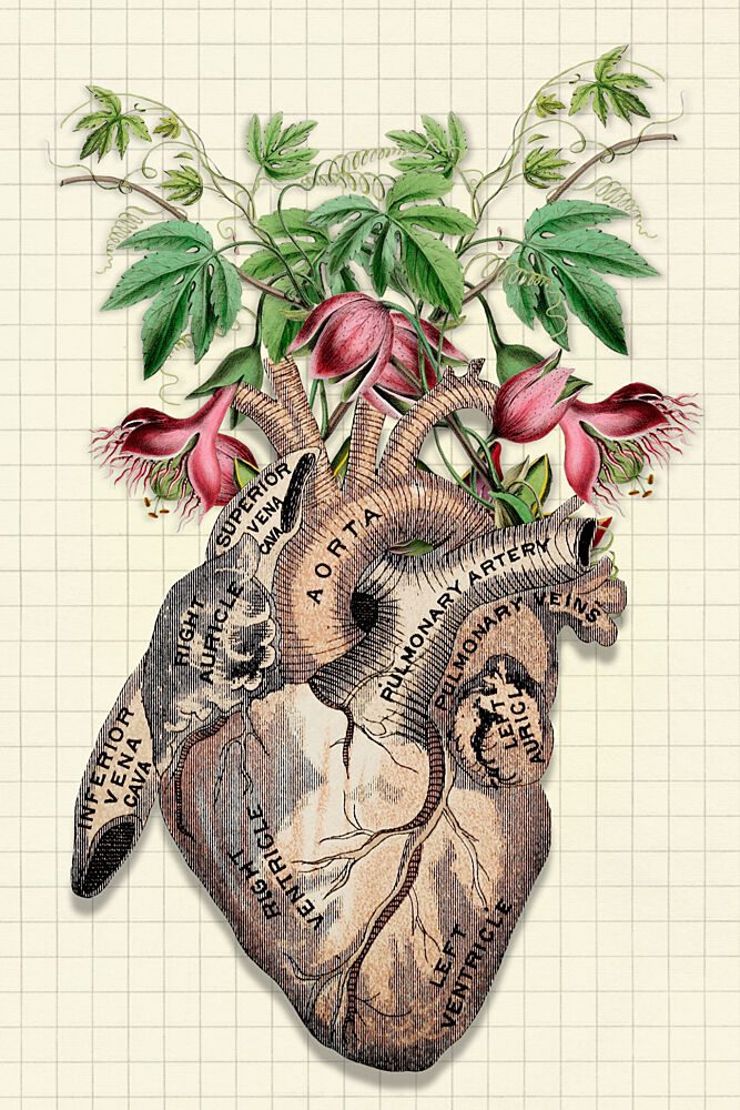 Flowering Anatomical Heart art print by Marja van den Hurk for $57.95 CAD