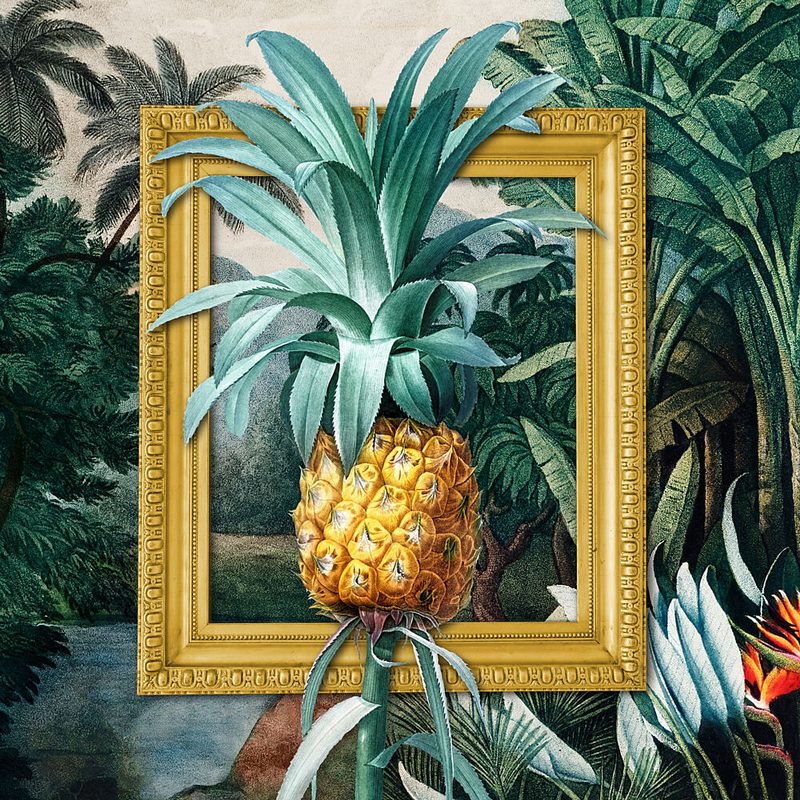 Framed Jungle Pineapple art print by Marja van den Hurk for $57.95 CAD
