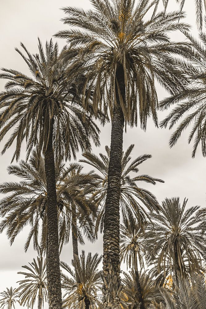 Sicilian Memories 17 art print by Mareike Bohmer for $57.95 CAD