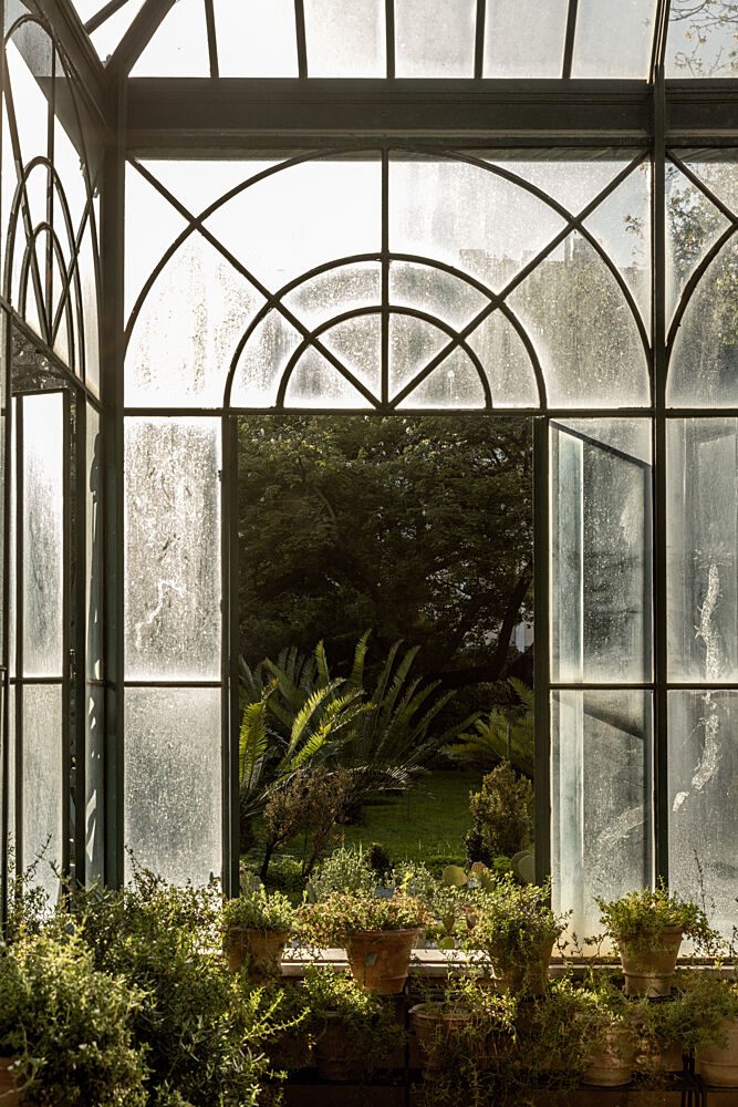 Botanical Garden 2 art print by Mareike Bohmer for $57.95 CAD