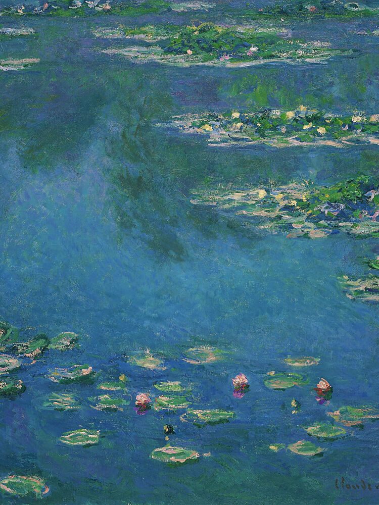 Water Lilies Reflection art print by Mathieu for $57.95 CAD