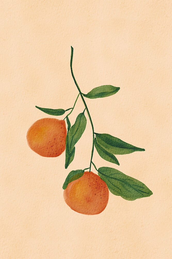 Orangesbranch art print by Treechild for $57.95 CAD