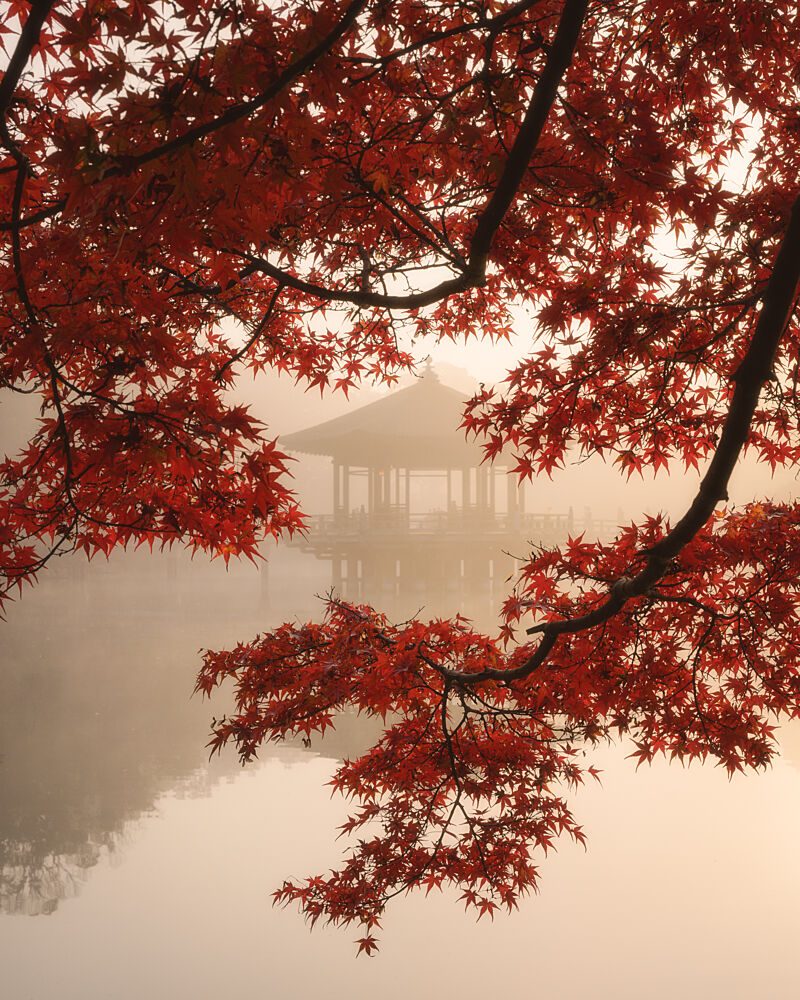 Misty Autumn Gazebo art print by Dmitry Razr for $57.95 CAD