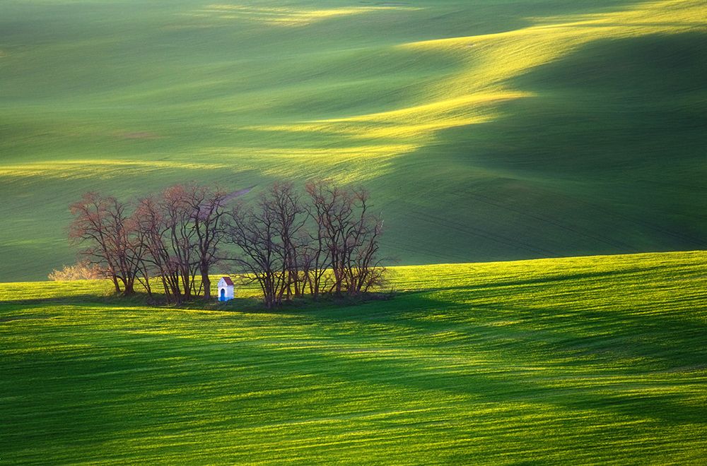 Fields... art print by Krzysztof Browko for $57.95 CAD