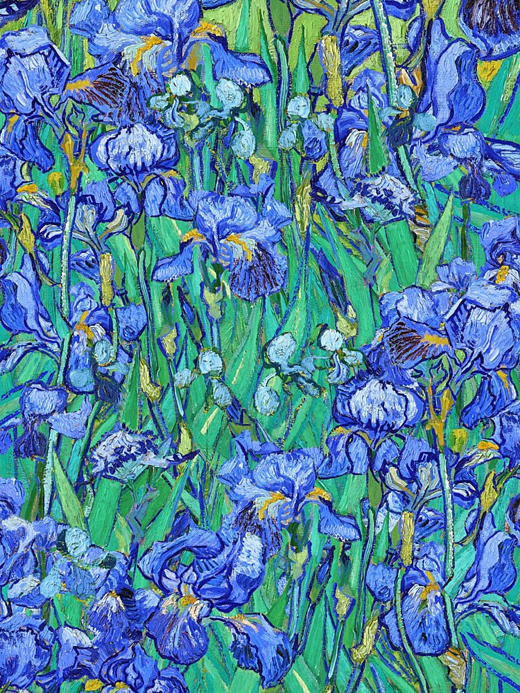Painterly Blue Irises art print by Mathieu for $57.95 CAD