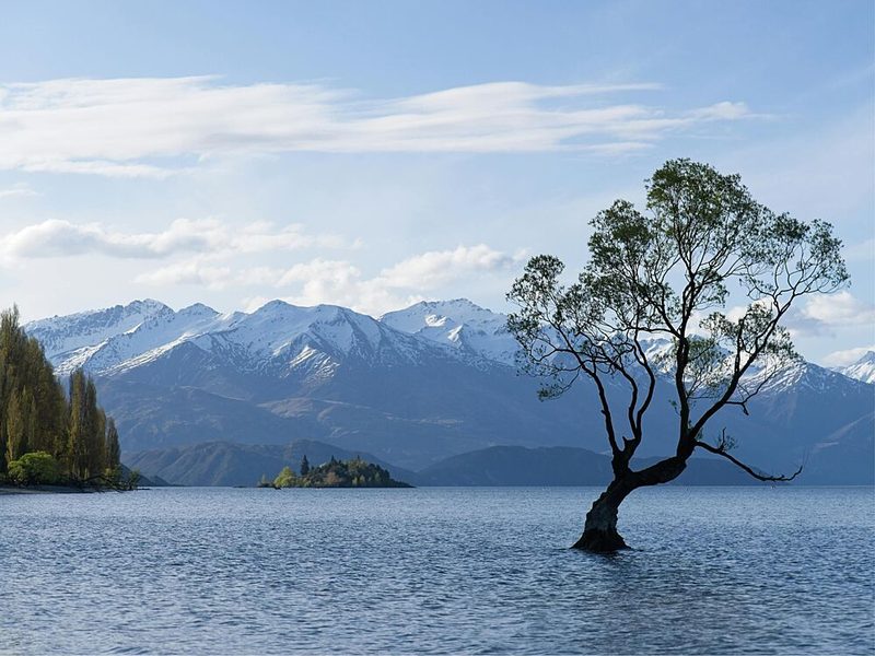 Wanaka Tree Lake Mountains art print by Mathieu for $57.95 CAD