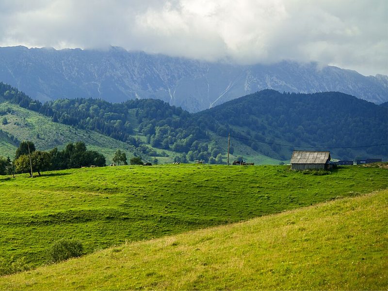 Green Mountain Pasture art print by Mathieu for $57.95 CAD