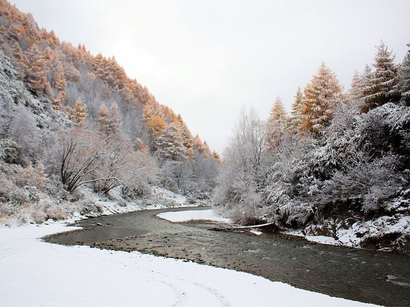 Golden Winter Stream art print by Mathieu for $57.95 CAD