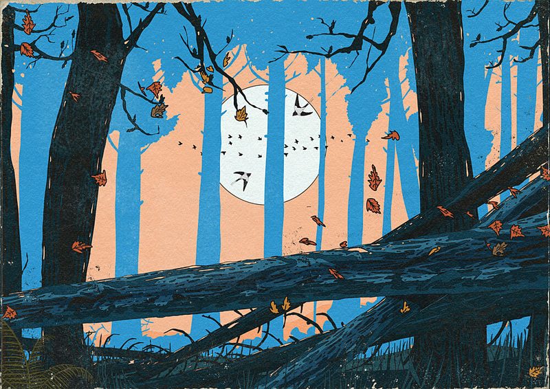 Moonlit Forest Birds art print by Nicholas for $57.95 CAD