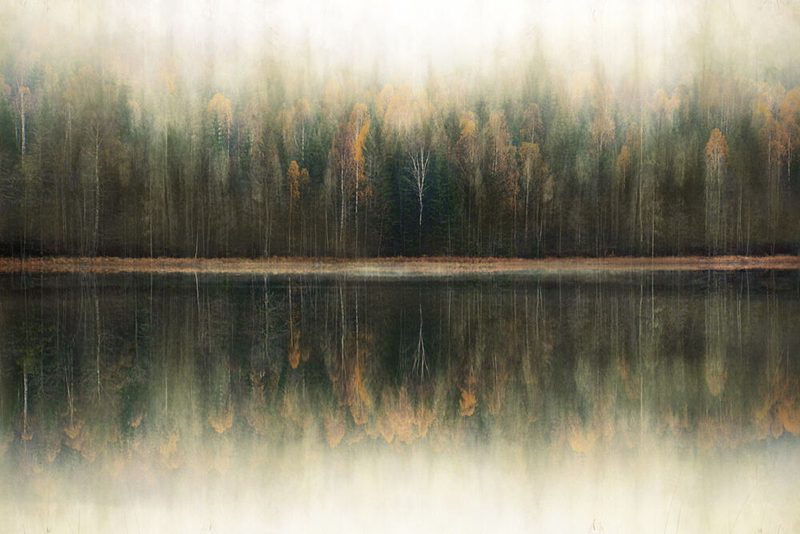 Misty Forest Reflection art print by Christina Sillen for $57.95 CAD