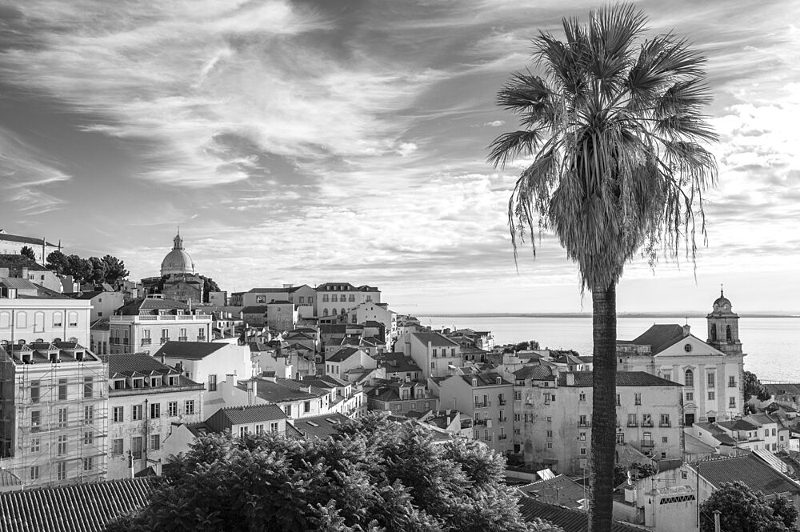 Black White City Vista art print by Christa Stroo for $57.95 CAD
