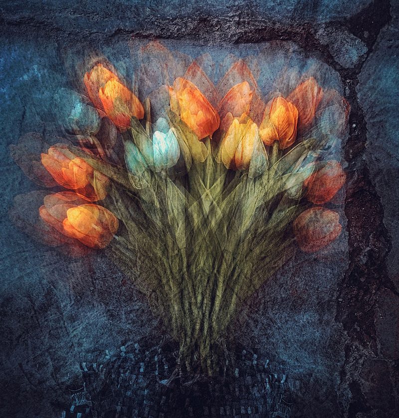 Ethereal Orange Tulips art print by Kahar Lagaa for $57.95 CAD