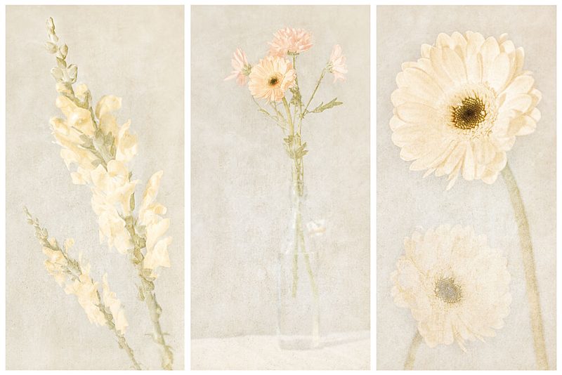 Faded Floral Triptych art print by Gustav Davidsson for $57.95 CAD