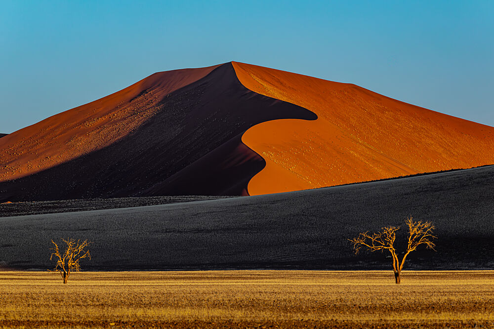 Golden Desert Dune art print by SiyuWei Apa for $57.95 CAD