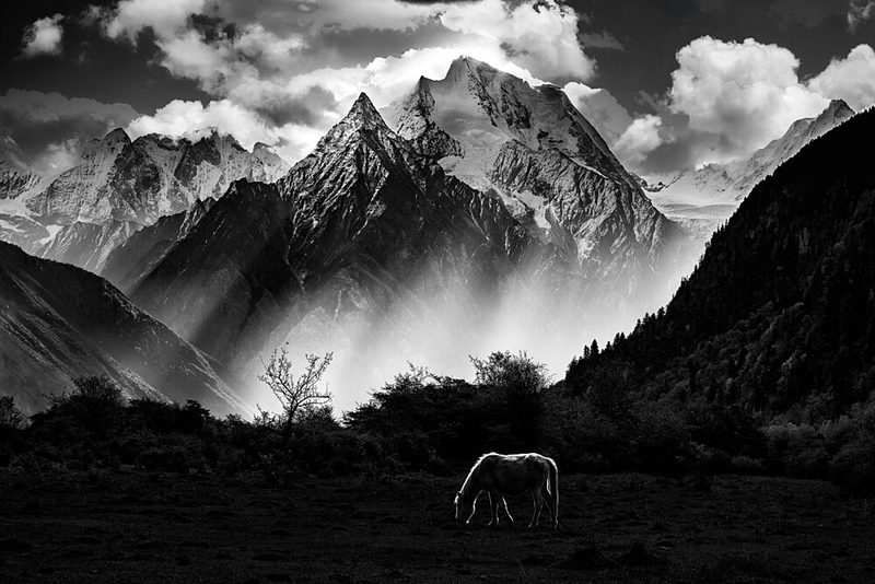 Black and White Mountain Horse art print by Chao Feng for $57.95 CAD