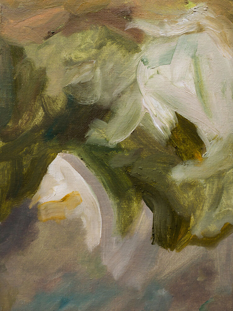Soft White Petals art print by Emily Tingey for $57.95 CAD