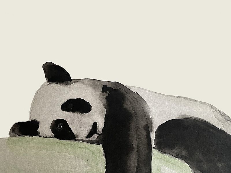 Peaceful Panda Nap art print by Carola Cedell for $57.95 CAD