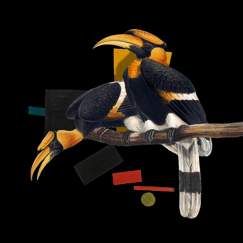 Modern Hornbills Abstract art print by Marja van den Hurk for $57.95 CAD