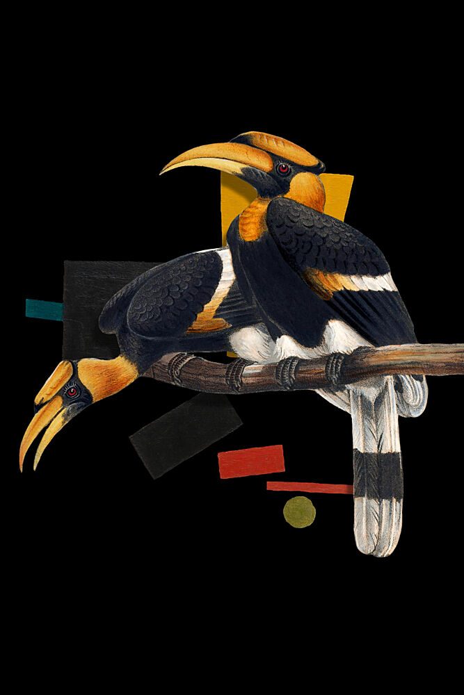 Tropical Hornbill Duo art print by Marja van den Hurk for $57.95 CAD