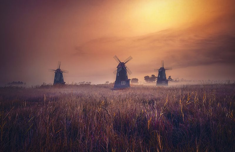 Misty Sunrise Windmills art print by Tiger Seo for $57.95 CAD