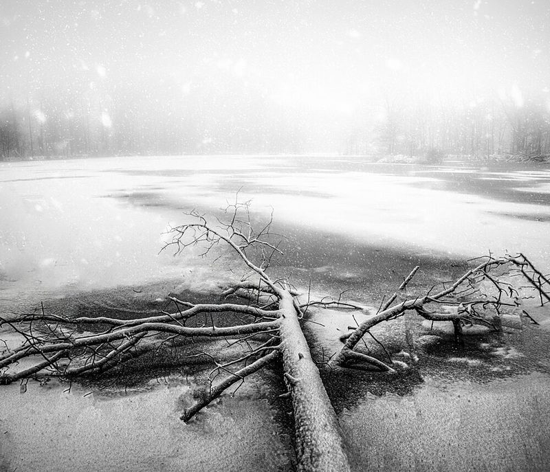 Fallen Tree Winter Lake art print by John-Mei Zhong for $57.95 CAD