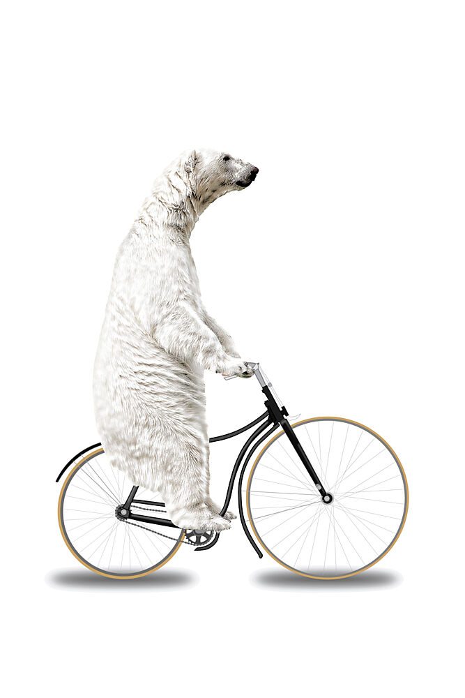 Polar Bear Bike Ride art print by Marja van den Hurk for $57.95 CAD