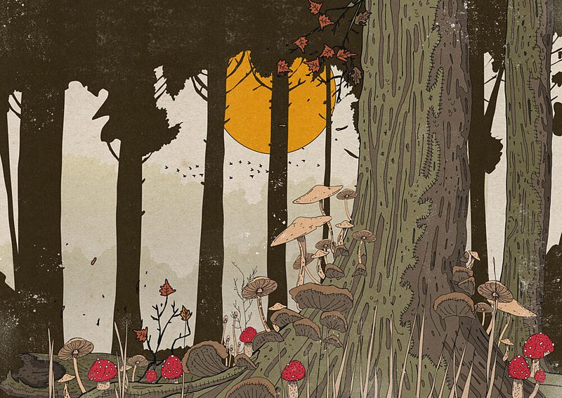 Enchanted Mushroom Forest art print by Nicholas for $57.95 CAD