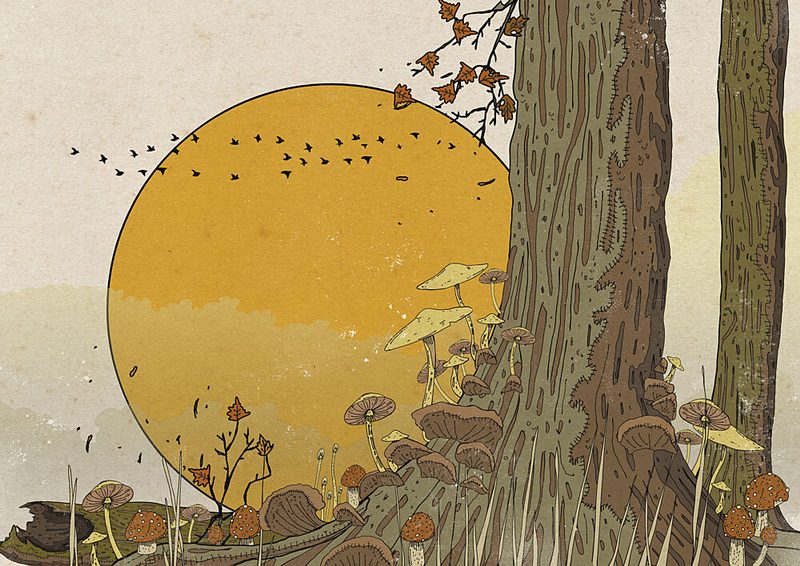 Golden Sun Forest Mushrooms art print by Nicholas for $57.95 CAD