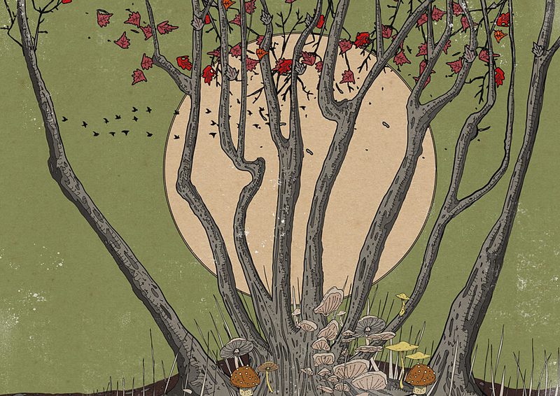 Autumn Trees Wild Mushrooms art print by Nicholas for $57.95 CAD