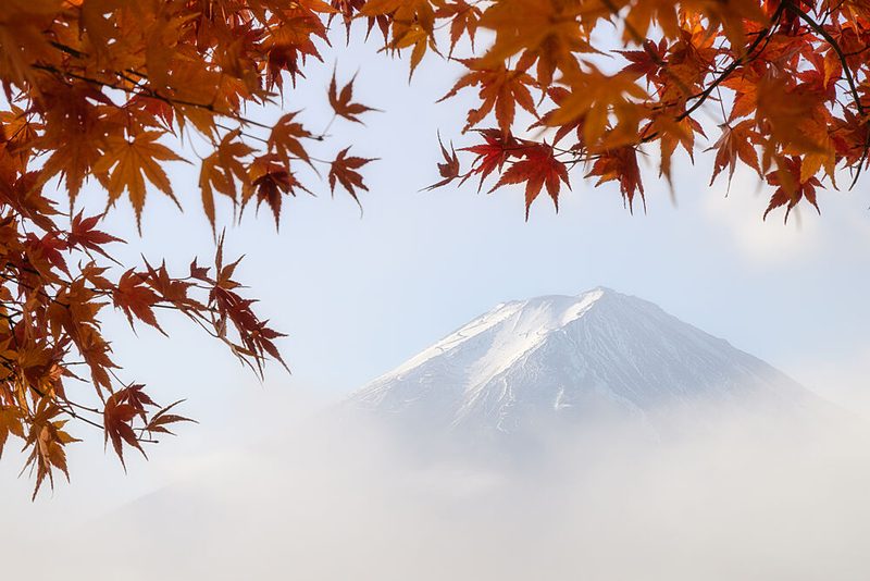 Misty Fuji Autumn art print by Dmitry Razr for $57.95 CAD