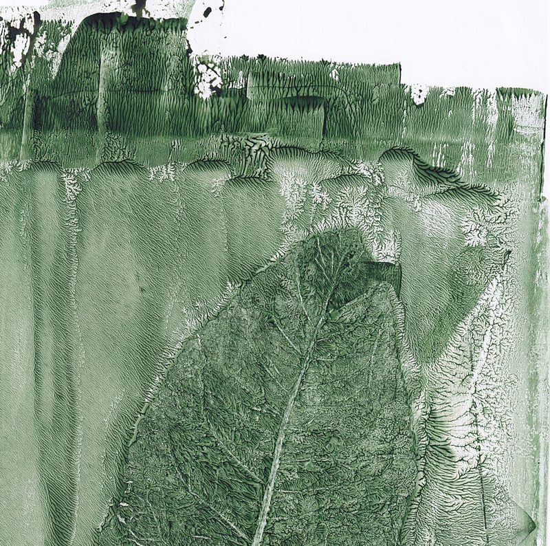 Green Leaf Impression art print by Maira Ribena for $57.95 CAD