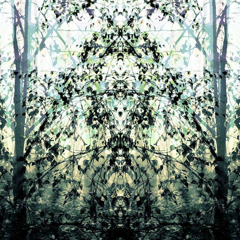 Mirrored Forest Dream art print by Christina Sillen for $57.95 CAD