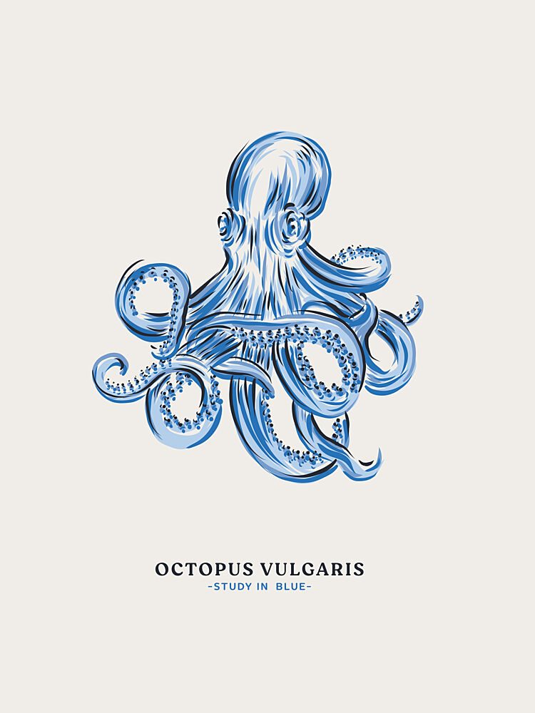 Blue Octopus Study art print by Alexandra Weise for $57.95 CAD