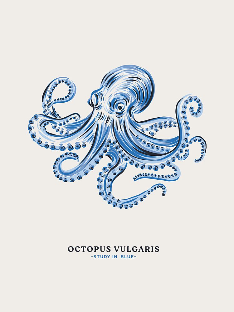 Octopus Study in Blue art print by Alexandra Weise for $57.95 CAD